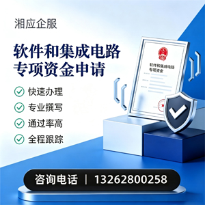 三亚软件和集成电路专项资金申报服务
