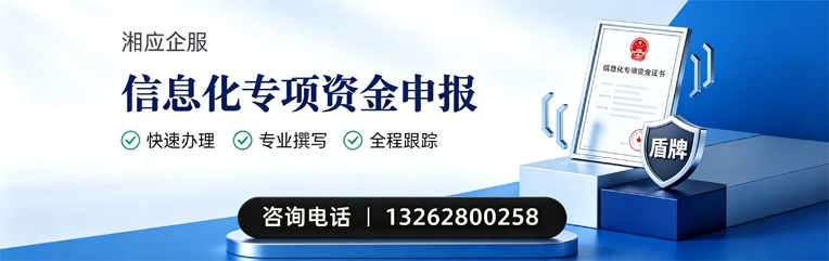 三亚信息化专项资金申报服务