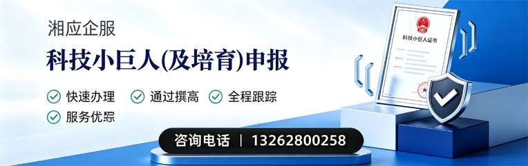 三亚科技小巨人及培育企业申报服务