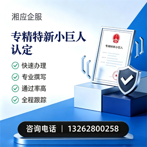 三亚专精特新小巨人申报服务
