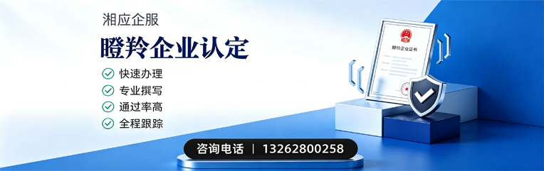 三亚瞪羚企业认定申报服务