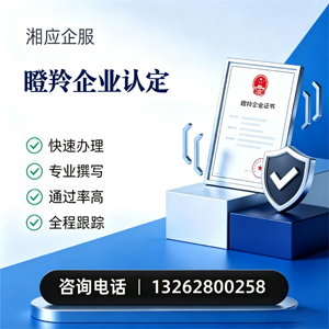 三亚瞪羚企业认定申报服务