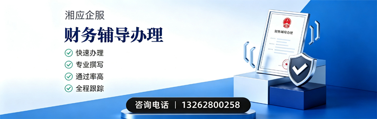 三亚财务辅导申请服务