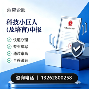 三亚科技小巨人及培育企业申报服务