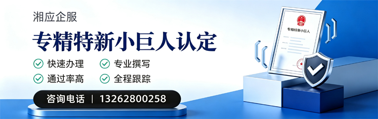 三亚专精特新小巨人申报服务
